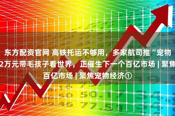 东方配资官网 高铁托运不够用，多家航司推“宠物进客舱” 花2万元带毛孩子看世界，正催生下一个百亿市场 | 聚焦宠物经济①