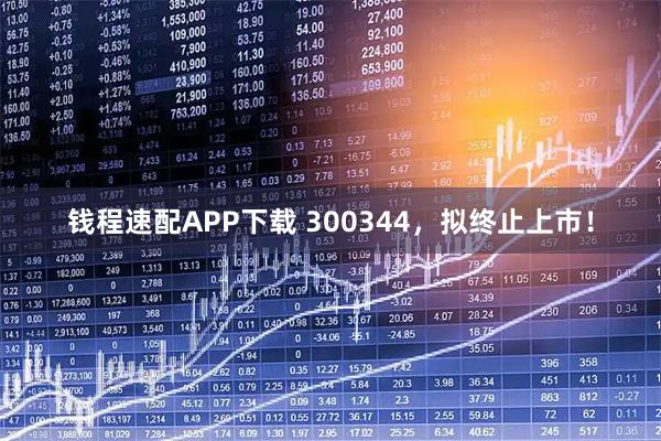 钱程速配APP下载 300344，拟终止上市！
