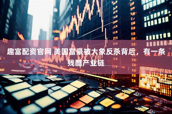 趣富配资官网 美国富豪被大象反杀背后，有一条残酷产业链